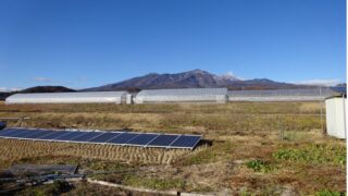 28年地中にあった単管パイプ架台の劣化について　P2